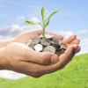 Reduce Over-Indebtedness Finance Tree